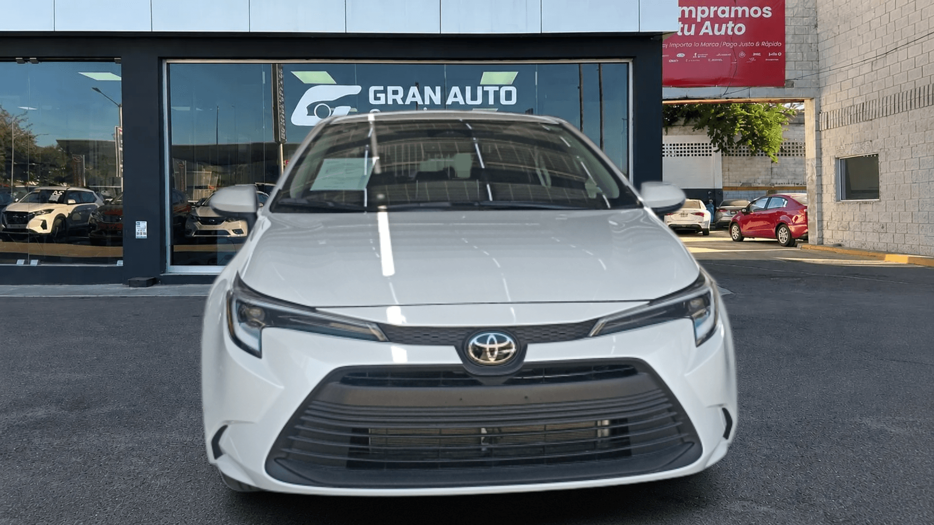 COROLLA XLE