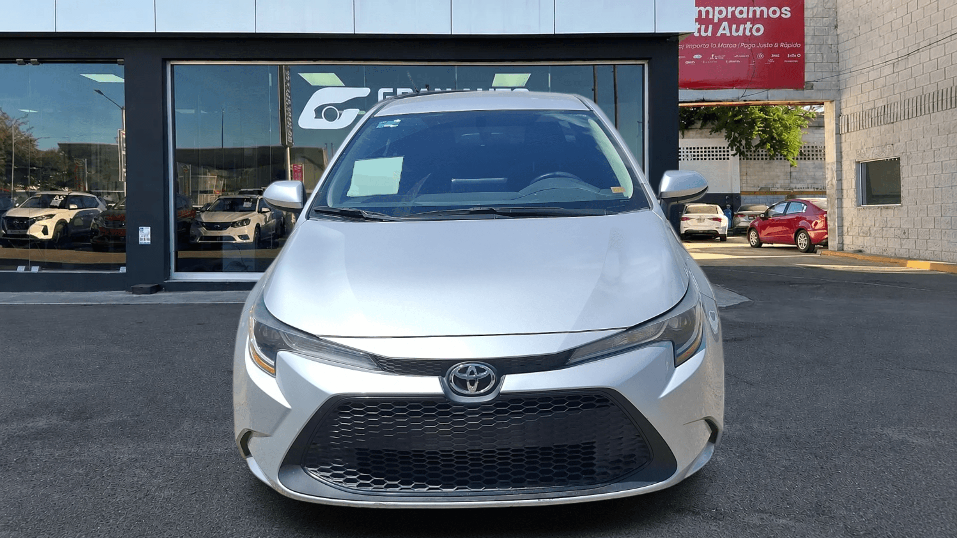 COROLLA BASE TM